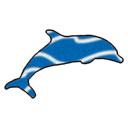 bottlenose icon